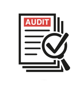 Website Audit icon